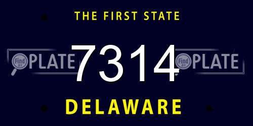 7314 Delaware License Plate