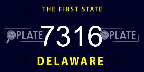 7316 Delaware License Plate