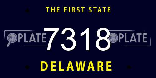 7318 Delaware License Plate