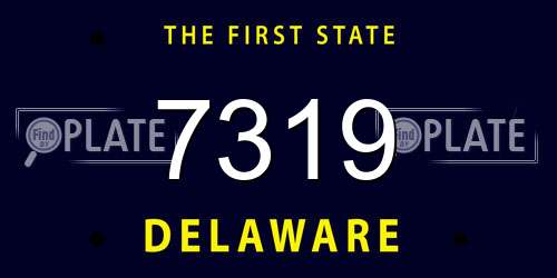 7319 Delaware License Plate