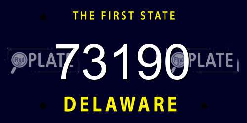 73190 Delaware License Plate