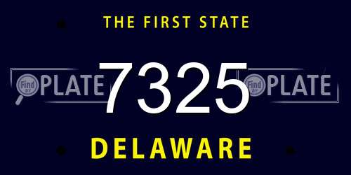 7325 Delaware License Plate