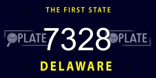 7328 Delaware License Plate