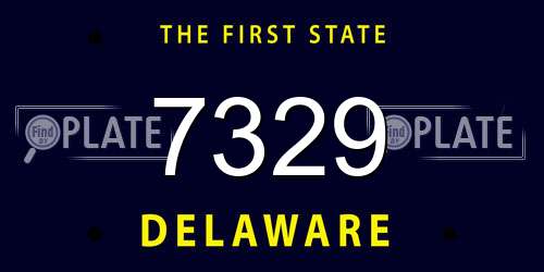 7329 Delaware License Plate