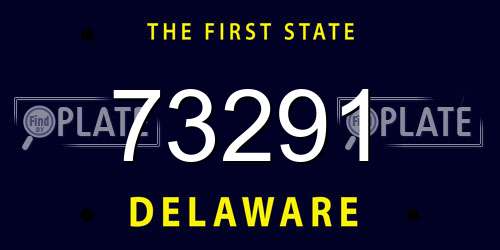 73291 Delaware License Plate