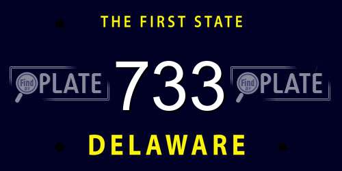 733 Delaware License Plate