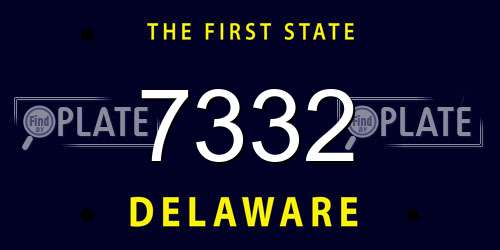 7332 Delaware License Plate