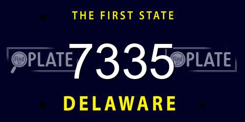 7335 Delaware License Plate