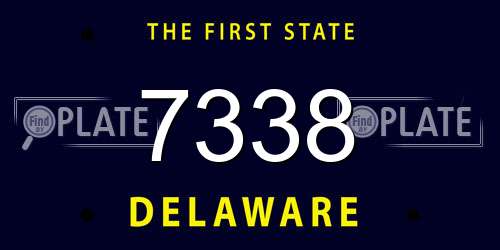 7338 Delaware License Plate