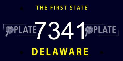 7341 Delaware License Plate