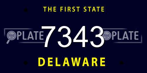 7343 Delaware License Plate