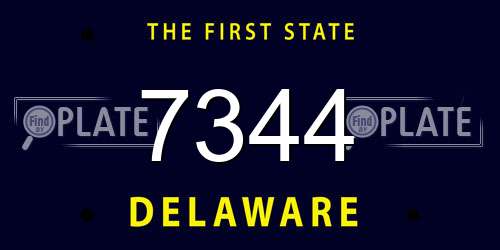 7344 Delaware License Plate