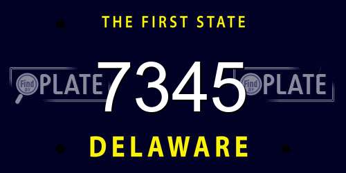 7345 Delaware License Plate