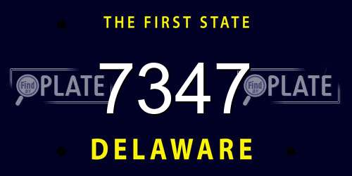 7347 Delaware License Plate