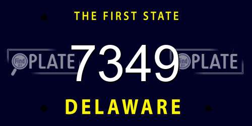 7349 Delaware License Plate