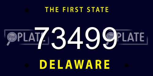 73499 Delaware License Plate