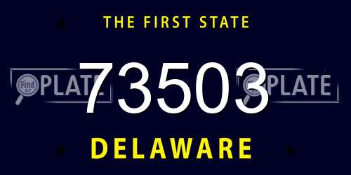73503 Delaware License Plate