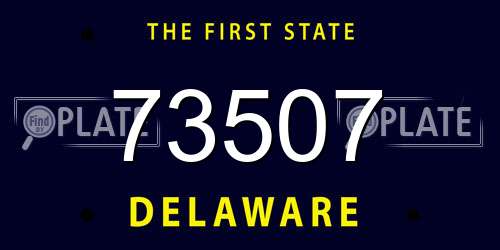 73507 Delaware License Plate