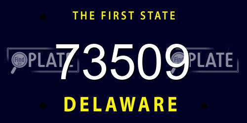 73509 Delaware License Plate