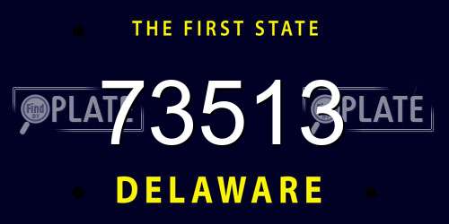 73513 Delaware License Plate