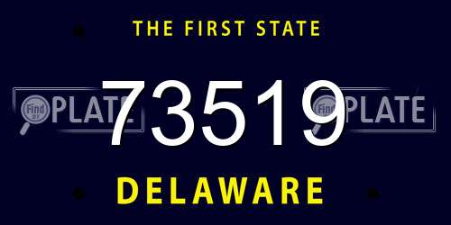 73519 Delaware License Plate