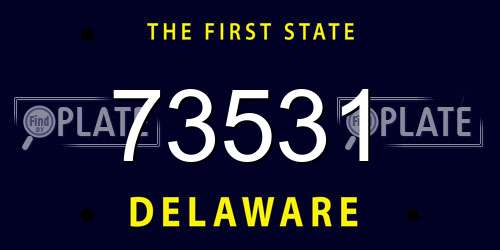73531 Delaware License Plate