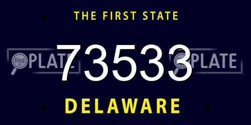 73533 Delaware License Plate