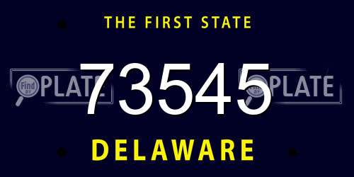 73545 Delaware License Plate