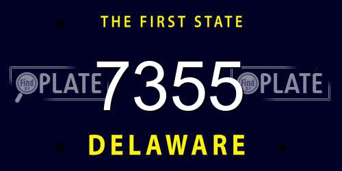 7355 Delaware License Plate