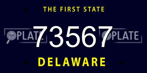 73567 Delaware License Plate