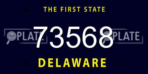 73568 Delaware License Plate