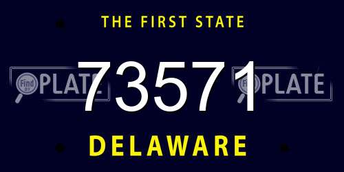 73571 Delaware License Plate