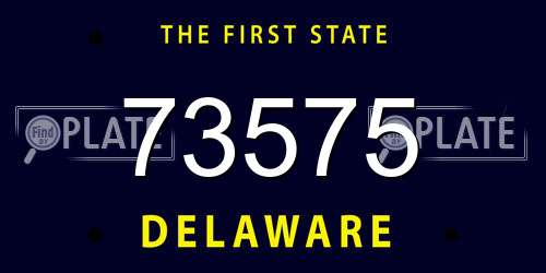 73575 Delaware License Plate