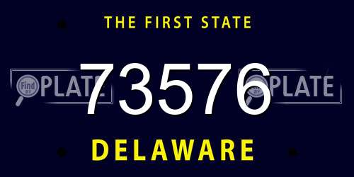 73576 Delaware License Plate