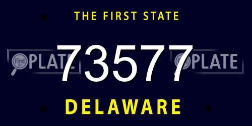 73577 Delaware License Plate