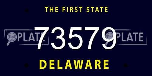 73579 Delaware License Plate