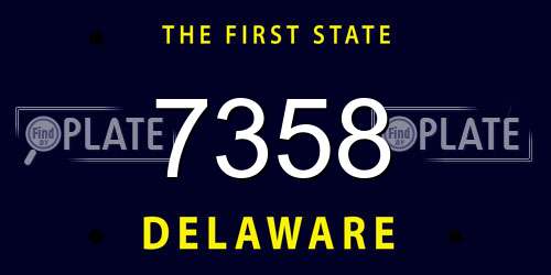 7358 Delaware License Plate