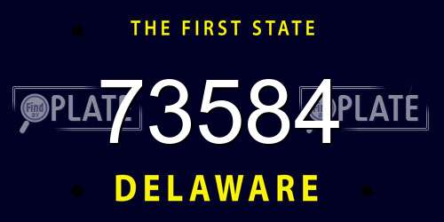 73584 Delaware License Plate