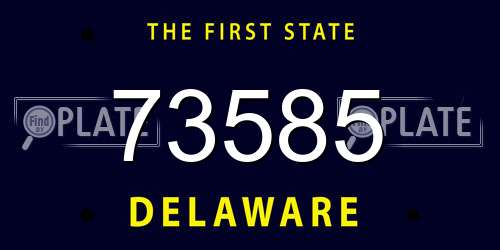73585 Delaware License Plate