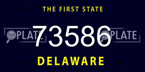 73586 Delaware License Plate