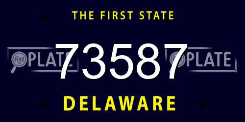 73587 Delaware License Plate