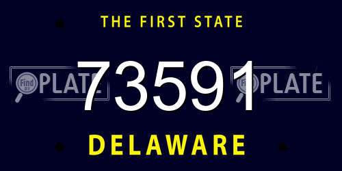 73591 Delaware License Plate