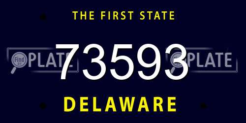 73593 Delaware License Plate