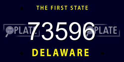 73596 Delaware License Plate