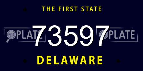 73597 Delaware License Plate