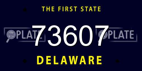73607 Delaware License Plate