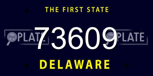 73609 Delaware License Plate