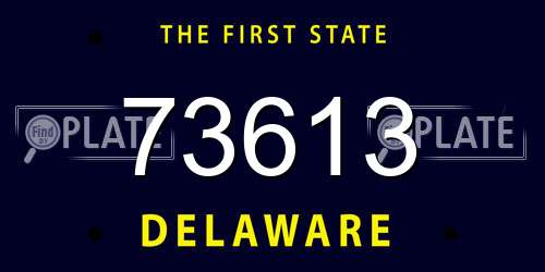 73613 Delaware License Plate