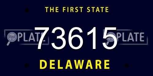 73615 Delaware License Plate
