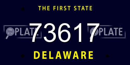 73617 Delaware License Plate